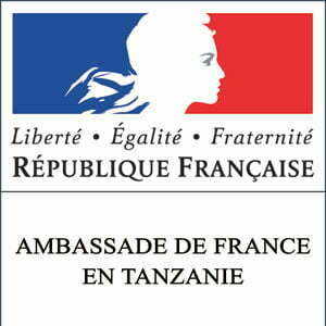 Ambassade-de-france-logo